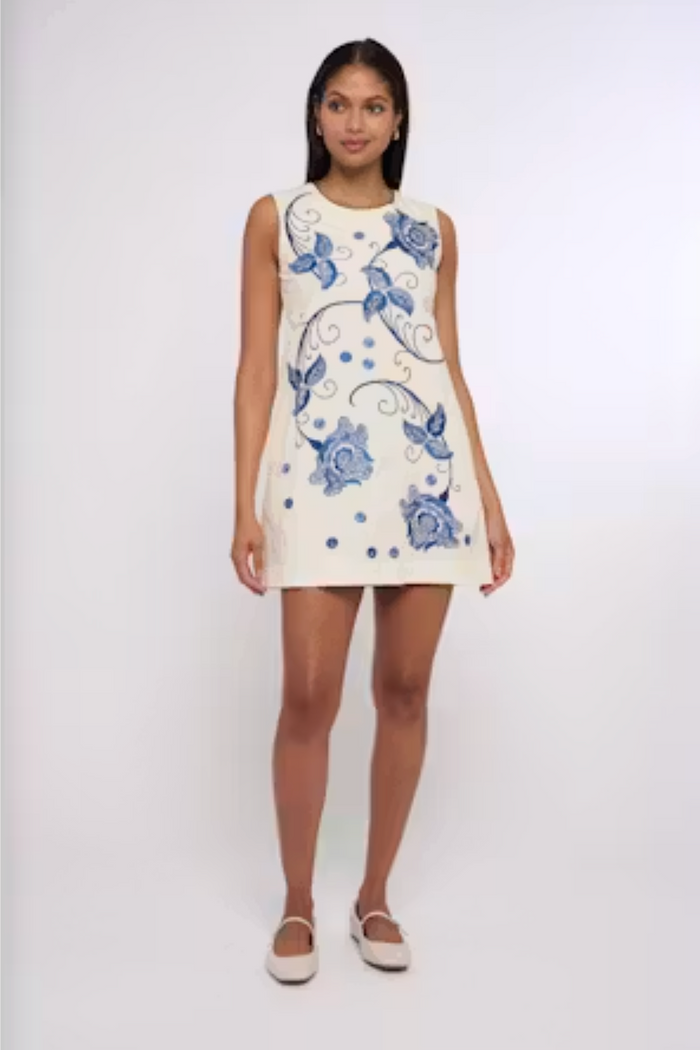 Tiffany Mini Dress