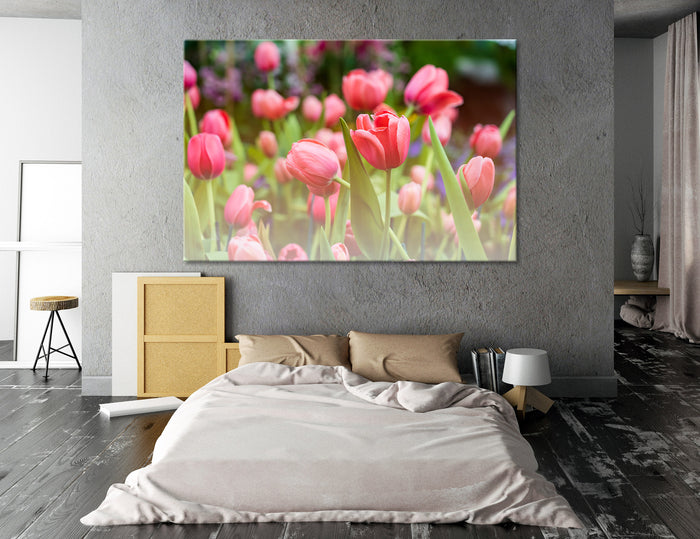 Tulips Canvas Print #7502
