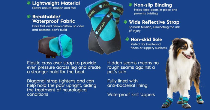 Blue and black dog booties with elastic cross-over straps for strong hold, breathable waterproof fabric, wide reflective strap, non-slip sole, anti-bacterial lining, and designed for neurological conditions. Shown on a happy Australian Shepherd wearing booties on all four paws.