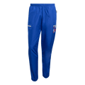 adidas USA 94 Graphic Woven Track Pants | Royal Blue | Men's