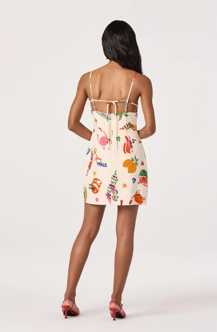 Valencia Novelty Print Dress