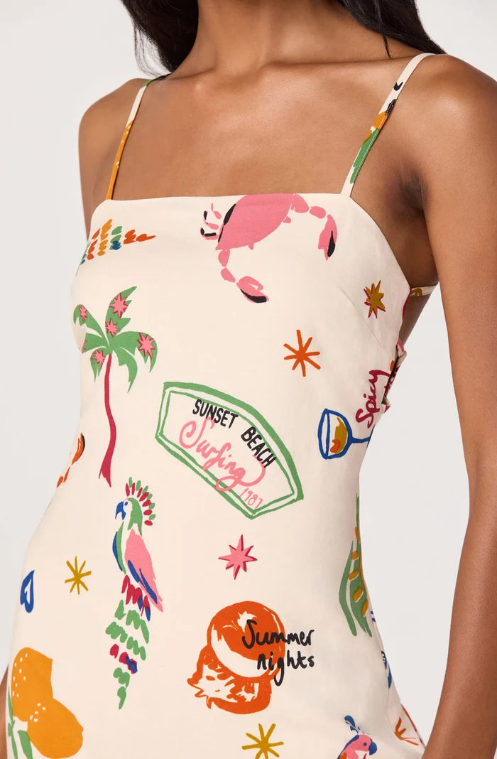 Valencia Novelty Print Dress