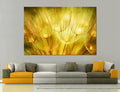 Yellow Blowball Canvas Print #7513