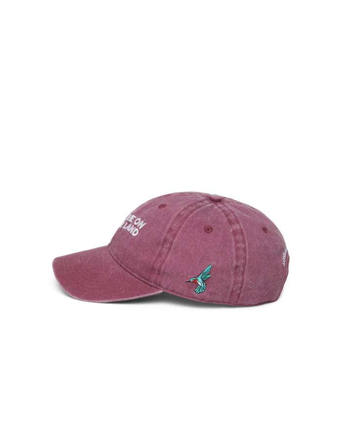 'YOU ARE ON NATIVE LAND DAD CAP - MAROON