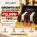Zigaro™ Retailer Growth Kit – 60 × 60ML Perfumes